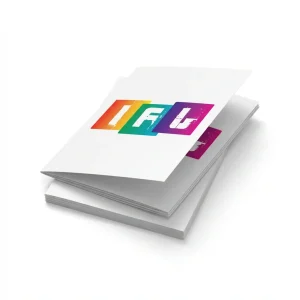 Dépliants 1 Pli Simple